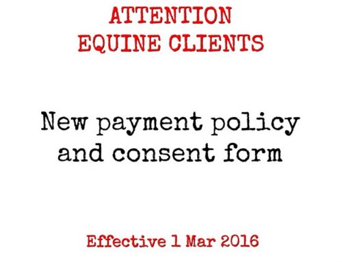 Attention All Equine Clients – New Policy Effective 1st March 2016