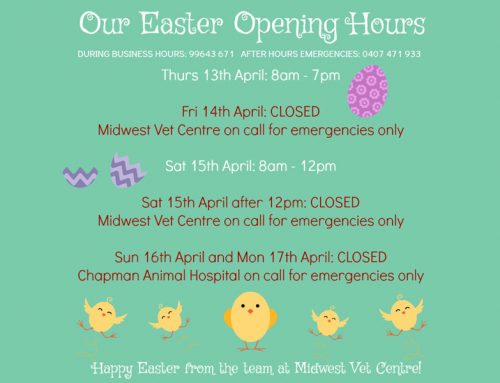 Easter 2017 Opening Hours