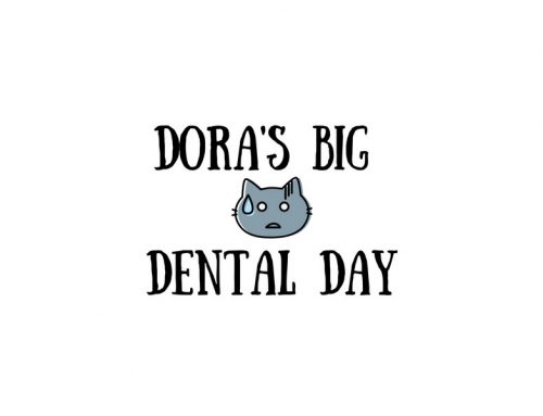 Dora’s Big Dental Day