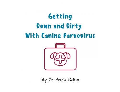 Getting Down & Dirty with Canine Parvovirus – Dr Anika Kalka